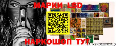 стаф Шебекино