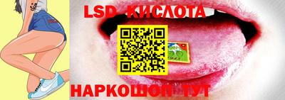 стаф Шебекино
