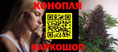 стаф Шебекино