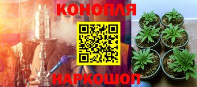 дживик Шелехов