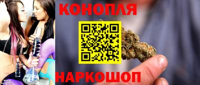 дживик Шелехов