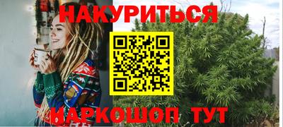 стаф Шебекино