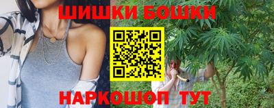 стаф Шебекино